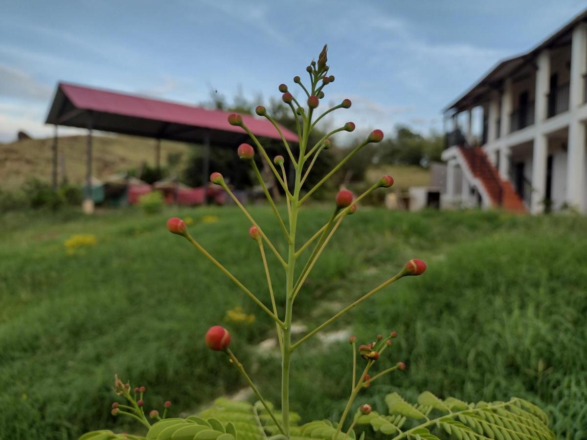 Cosmos Tatacoa Hotel Villavieja Eksteriør bilde